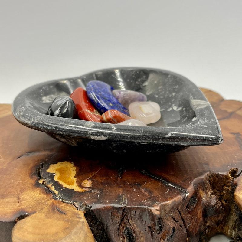 Polished Orthoceras Fossil Heart Dish from Morocco-Nature's Treasures