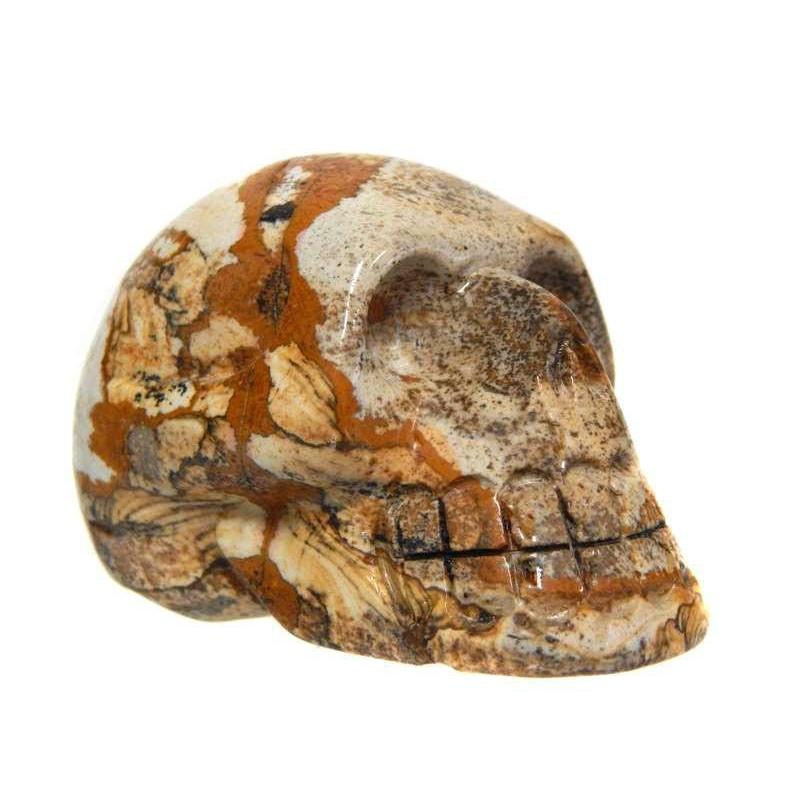 Polished Picture Jasper Skull Carving || China-Nature's Treasures