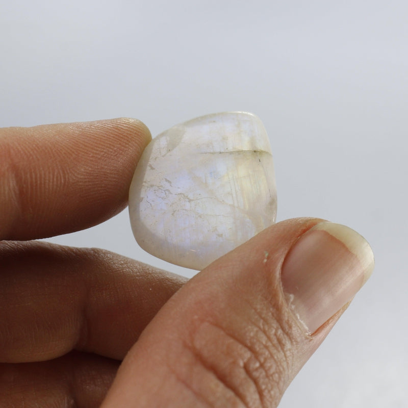 Polished Rainbow Moonstone Tumble Stone || Balance, Psychic Protection, Alignment || India-Nature's Treasures