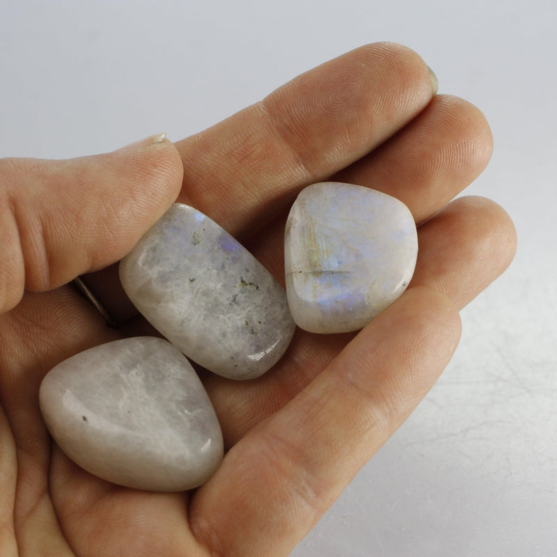Polished Rainbow Moonstone Tumble Stone || Balance, Psychic Protection, Alignment || India-Nature's Treasures