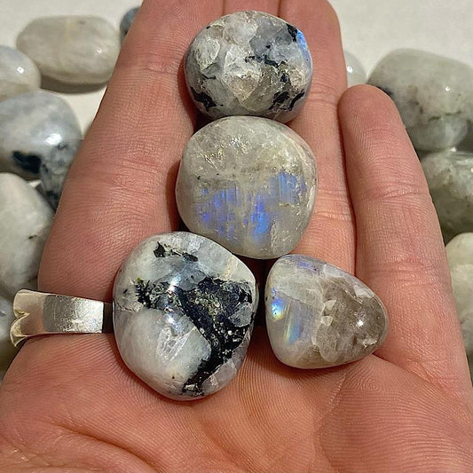Polished Rainbow Moonstone Tumble Stone || Balance, Psychic Protection, Alignment || India-Nature's Treasures