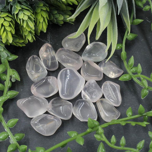 Polished Rose Quartz Tumble Stone || Self- Love, Emotional Healing, Anger Releaser || Brazil-Nature's Treasures