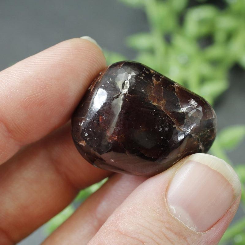 Polished Star Garnet Exotic Tumble Stone || Grounding, Protection || India-Nature's Treasures