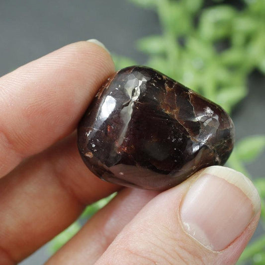 Polished Star Garnet Exotic Tumble Stone || Grounding, Protection || India-Nature's Treasures
