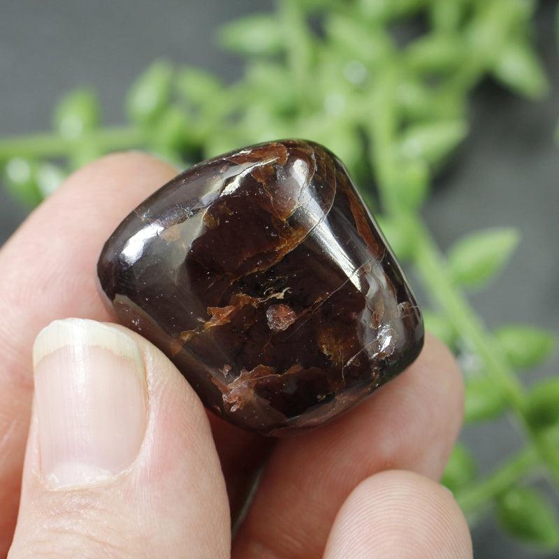Polished Star Garnet Exotic Tumble Stone || Grounding, Protection || India-Nature's Treasures