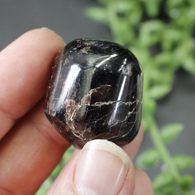 Polished Star Garnet Exotic Tumble Stone || Grounding, Protection || India-Nature's Treasures