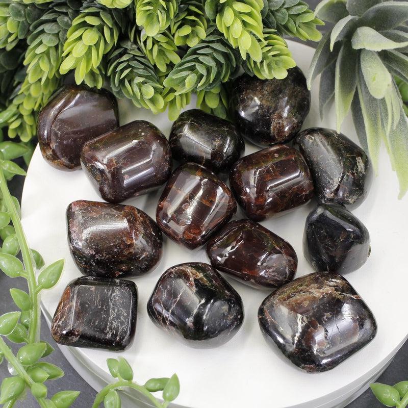Polished Star Garnet Exotic Tumble Stone || Grounding, Protection || India-Nature's Treasures