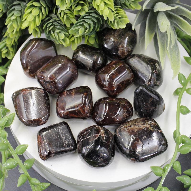 Polished Star Garnet Exotic Tumble Stone || Grounding, Protection || India-Nature's Treasures