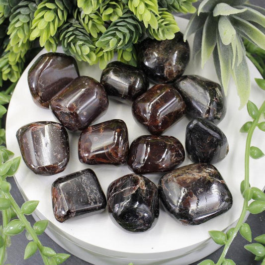 Polished Star Garnet Exotic Tumble Stone || Grounding, Protection || India-Nature's Treasures
