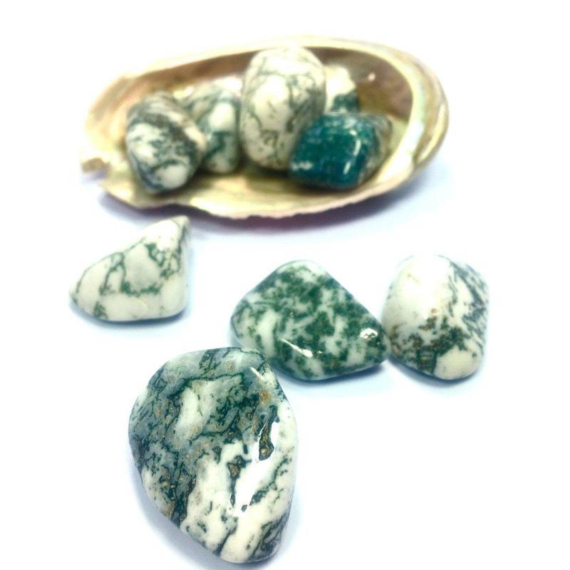Polished Tree Agate Tumbled Stone || Courage & Tranquility || Brazil-Nature's Treasures