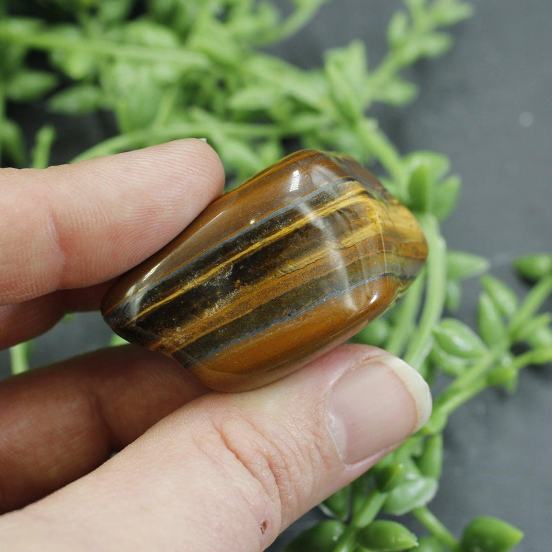 Polished Yellow Tiger's Eye Tumble Stone || Grounding, Strength, creativity || China-Nature's Treasures