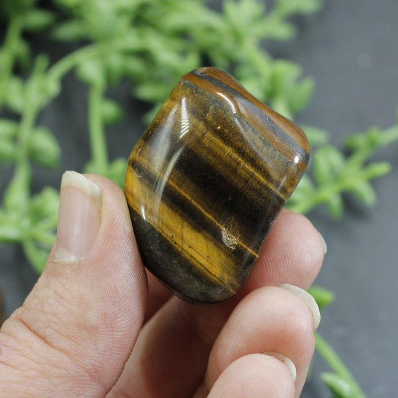 Polished Yellow Tiger's Eye Tumble Stone || Grounding, Strength, creativity || China-Nature's Treasures