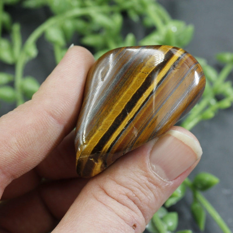 Polished Yellow Tiger's Eye Tumble Stone || Grounding, Strength, creativity || China-Nature's Treasures