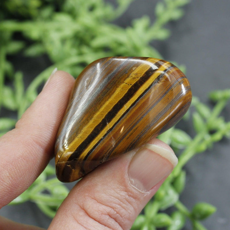 Polished Yellow Tiger's Eye Tumble Stone || Grounding, Strength, creativity || China-Nature's Treasures