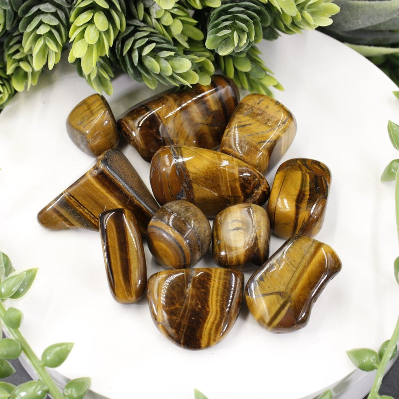 Polished Yellow Tiger's Eye Tumble Stone || Grounding, Strength, creativity || China-Nature's Treasures