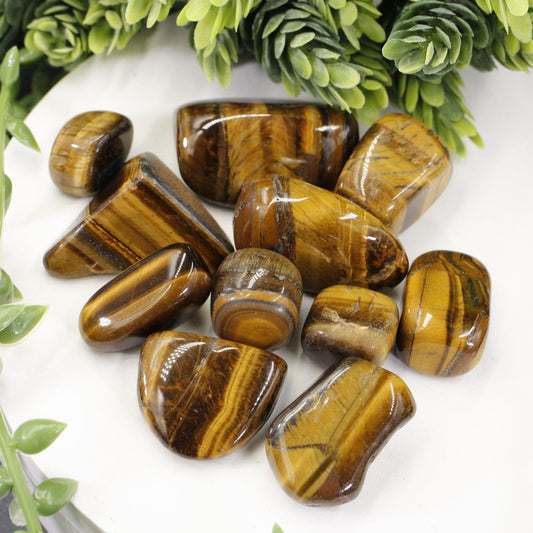 Polished Yellow Tiger's Eye Tumble Stone || Grounding, Strength, creativity || China-Nature's Treasures