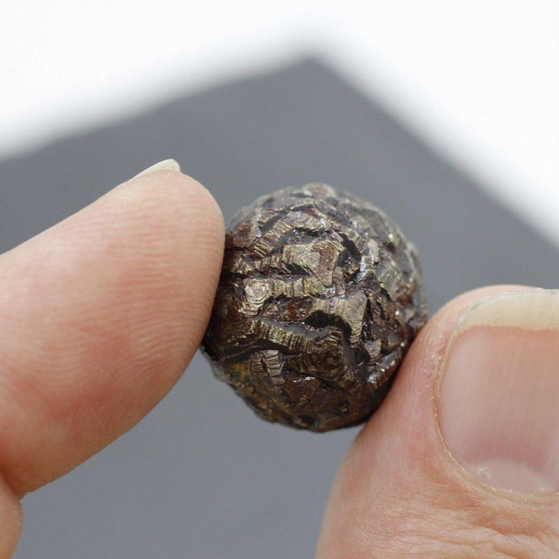 Pyrite Marcasite Nodule Specimen Pakistan-Nature's Treasures