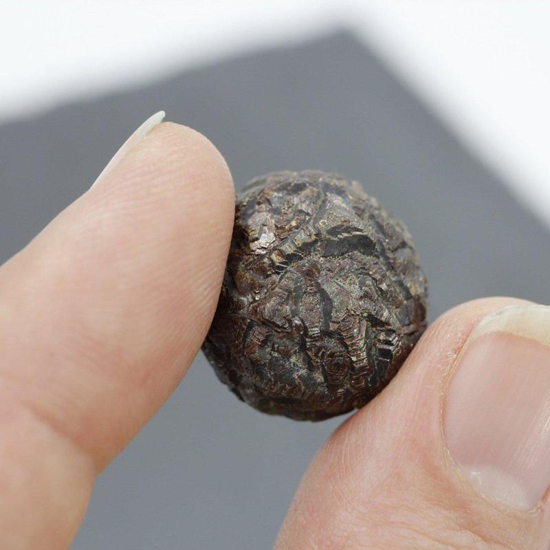 Pyrite Marcasite Nodule Specimen Pakistan-Nature's Treasures