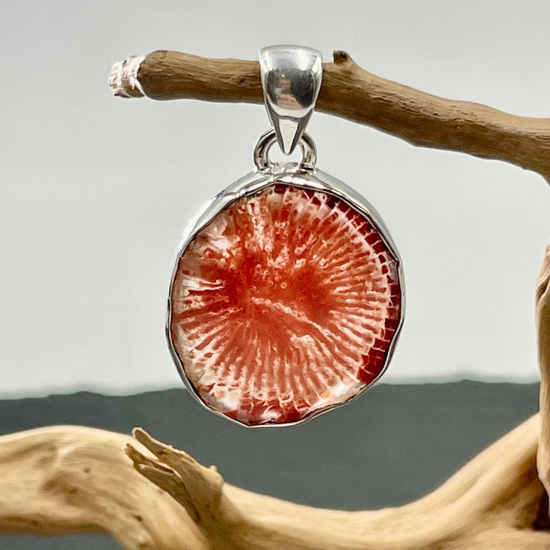 Red Horn Coral Pendant | .925 Sterling Silver | Japan-Nature's Treasures