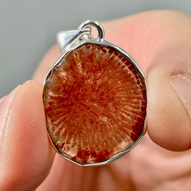 Red Horn Coral Pendant | .925 Sterling Silver | Japan