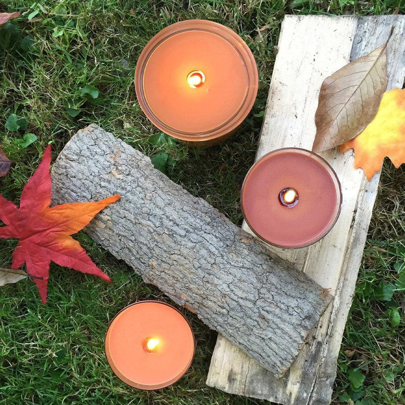 Root Candles Fall Legacy Collection || Pumpkin Spice-Nature's Treasures