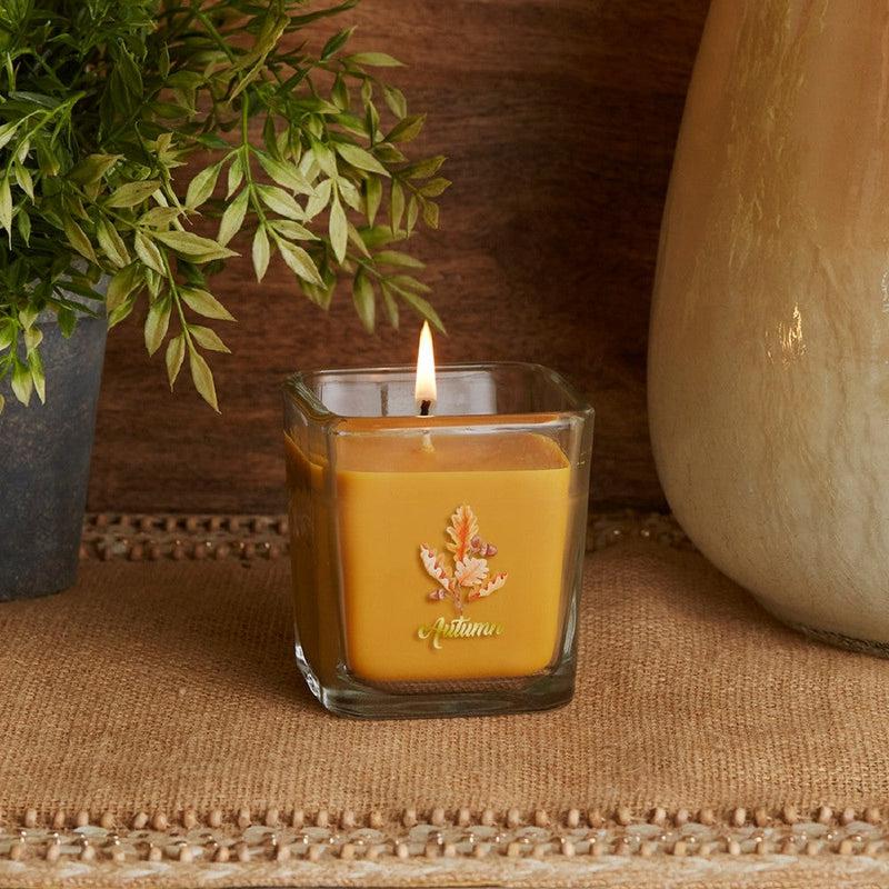 Root Candles Limited Edition Fall Collection || Autumn-Nature's Treasures