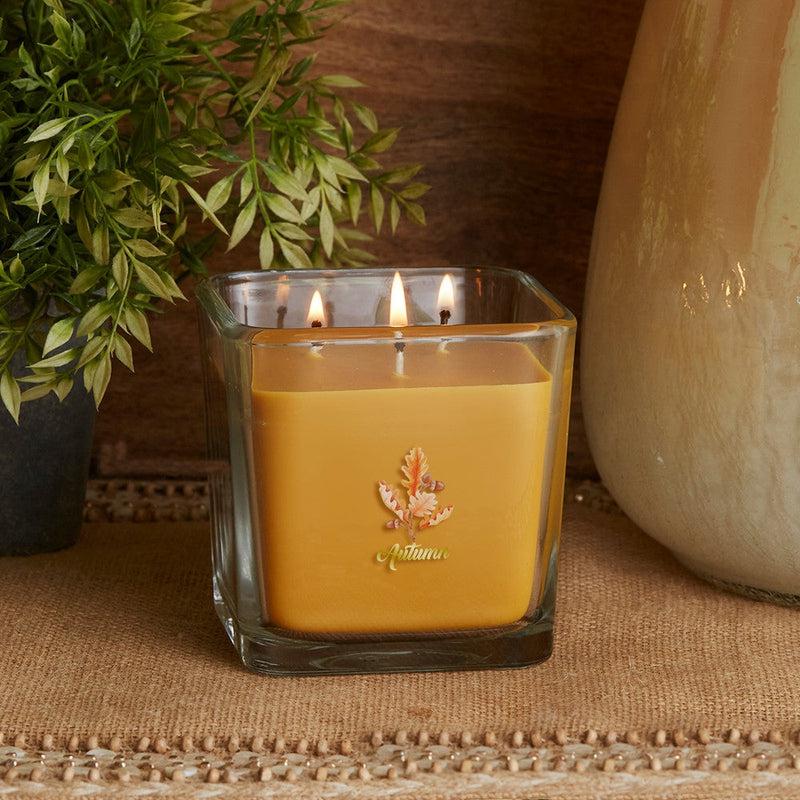 Root Candles Limited Edition Fall Collection || Autumn-Nature's Treasures