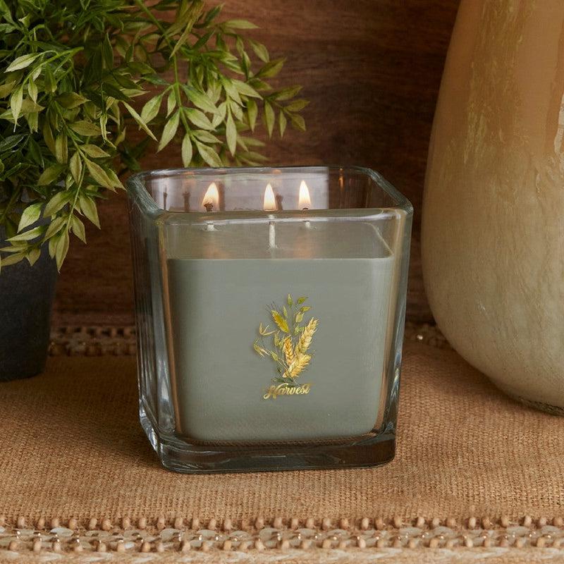 Root Candles Limited Edition Fall Collection || Harvest-Nature's Treasures