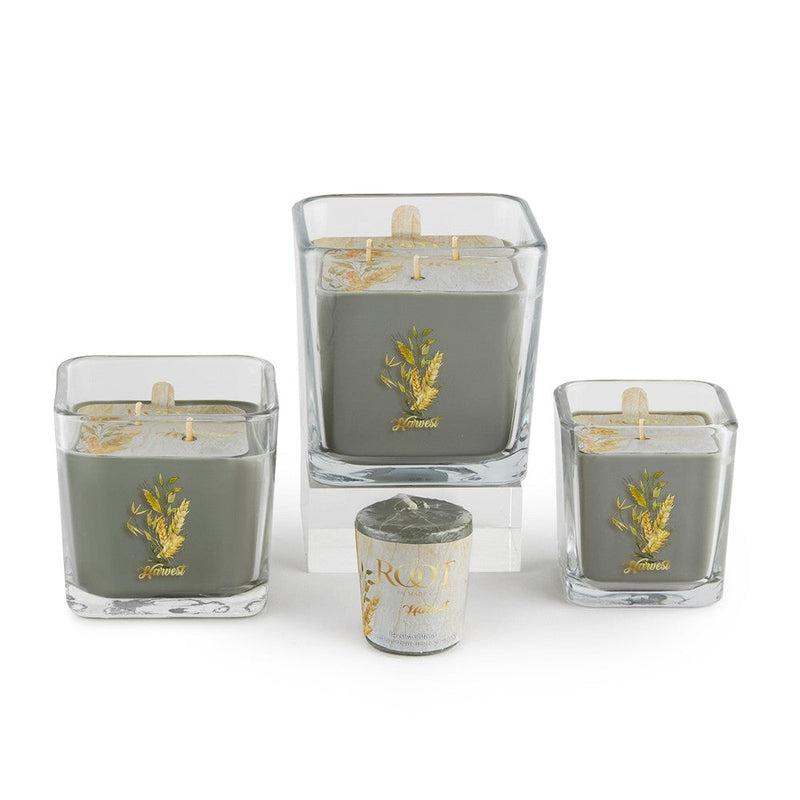 Root Candles Limited Edition Fall Collection || Harvest-Nature's Treasures