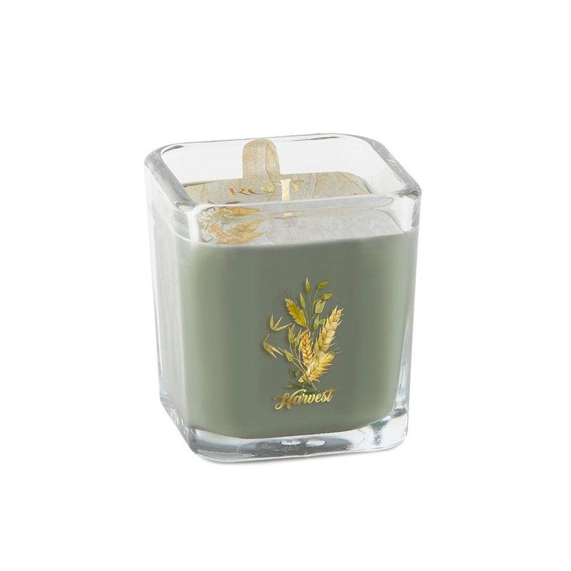 Root Candles Limited Edition Fall Collection || Harvest-Nature's Treasures