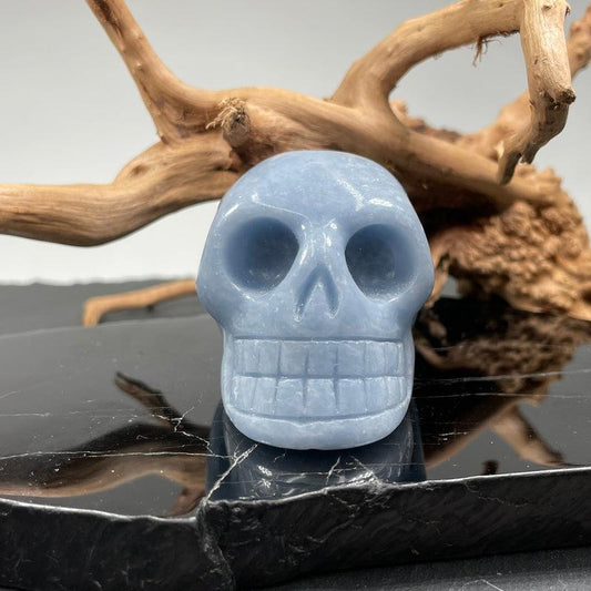 SHOW PRODUCT: Angelite Crystal Skull Carving-Nature's Treasures