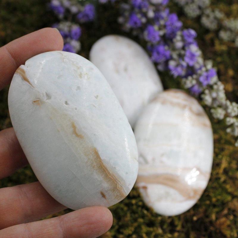 SHOW PRODUCT: Caribbean Aragonite Palm Stone Kalat District, Pakistan-Nature's Treasures