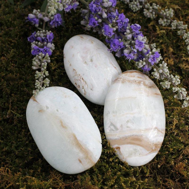 SHOW PRODUCT: Caribbean Aragonite Palm Stone Kalat District, Pakistan-Nature's Treasures