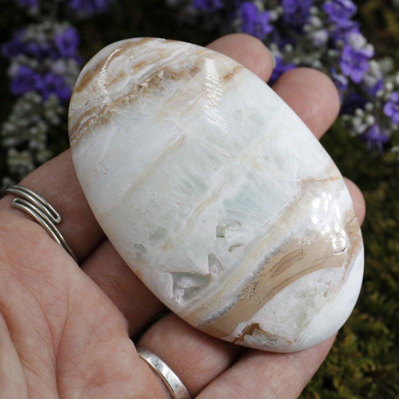 Caribbean Aragonite Palm Stone Kalat District, Pakistan