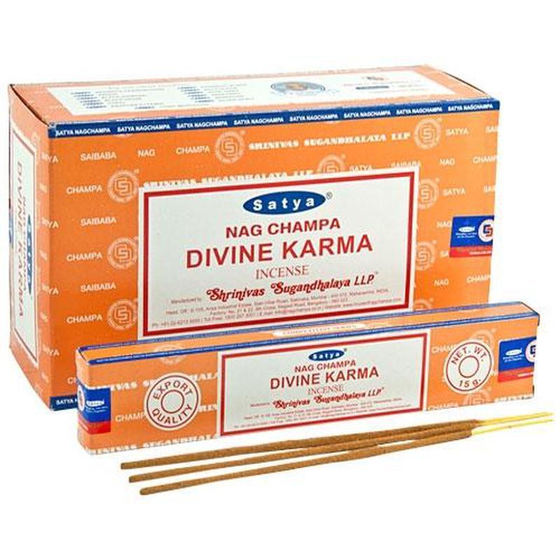Satya "Divine Karma" Masala Incense Sticks - 15g-Nature's Treasures
