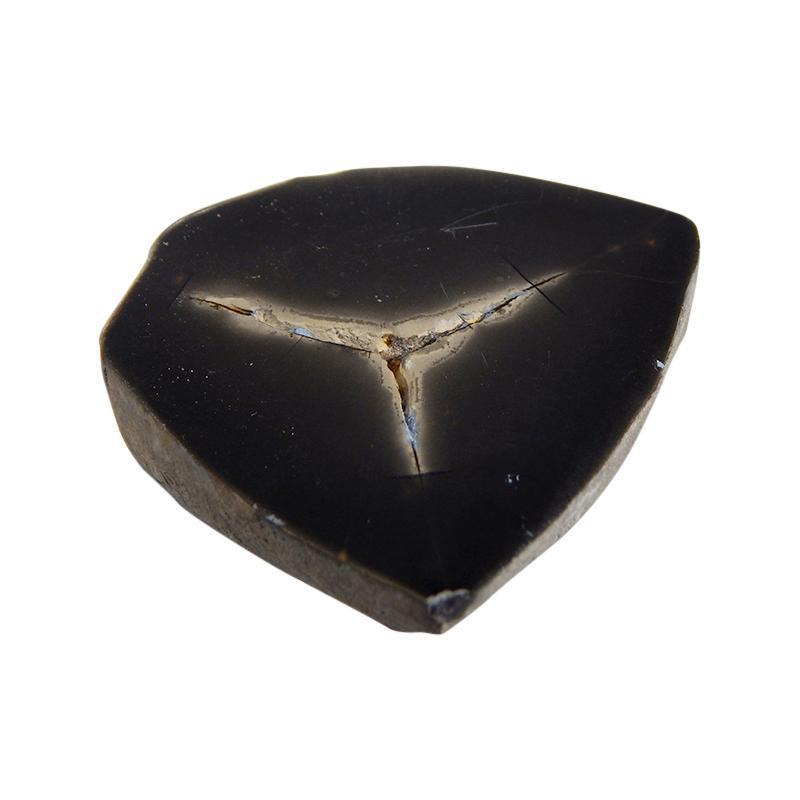 Septarian Slice-Nature's Treasures