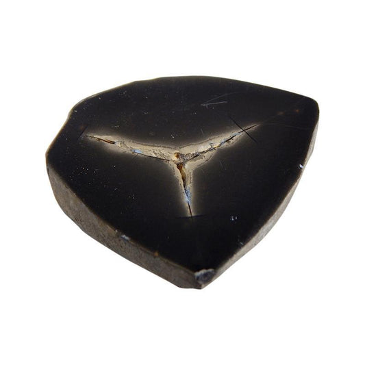 Septarian Slice-Nature's Treasures