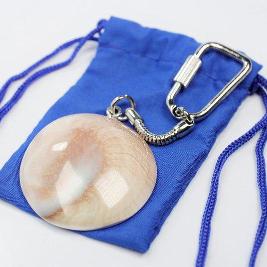 Shiva Eye Keychain-Nature's Treasures