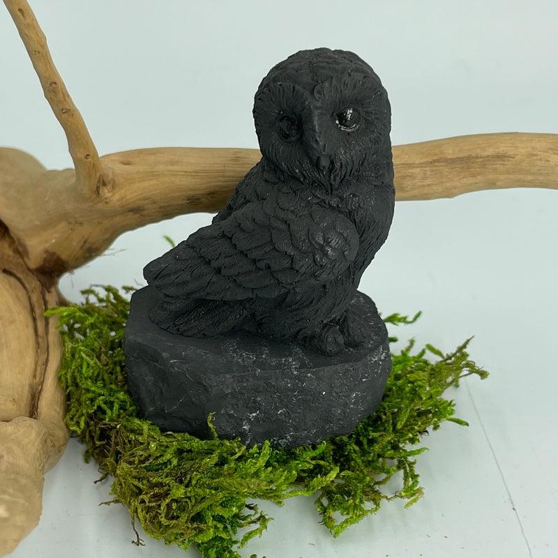 Shungite Owl Totem || EMF Blocker, Protections || Russia-Nature's Treasures