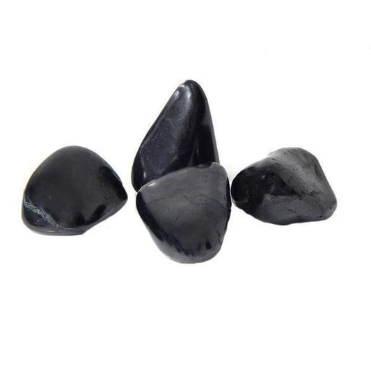 Shungite Polished Tumble Stone Medium-Nature's Treasures