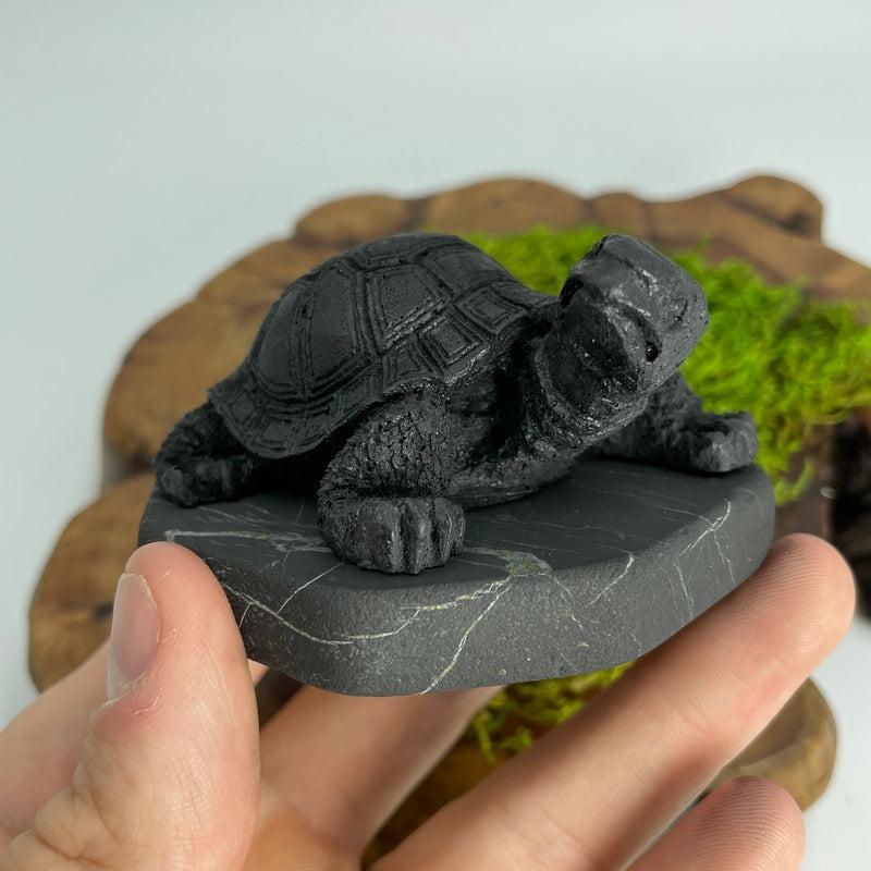 Shungite Turtle Totem || EMF Blocker, Protections || Russia-Nature's Treasures