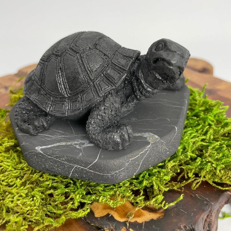 Shungite Turtle Totem || EMF Blocker, Protections || Russia-Nature's Treasures