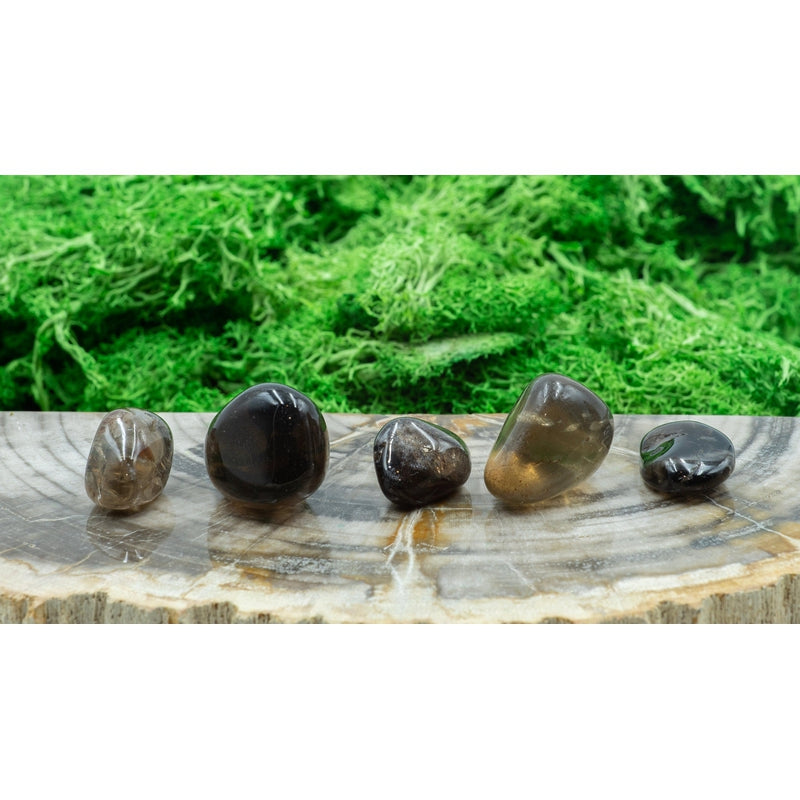 Smoky Quartz Polished Tumble || Grounding, Protection, Awareness Enhancer || Brazil-Nature's Treasures
