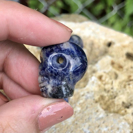 Sodalite Skull Drilled Pendant - Mini-Nature's Treasures