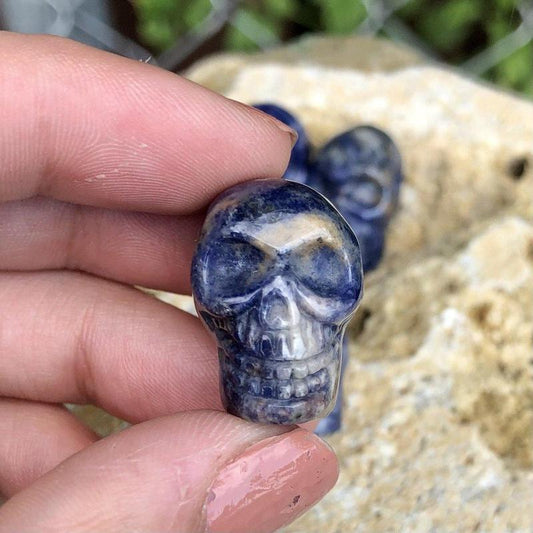 Sodalite Skull Drilled Pendant - Mini-Nature's Treasures