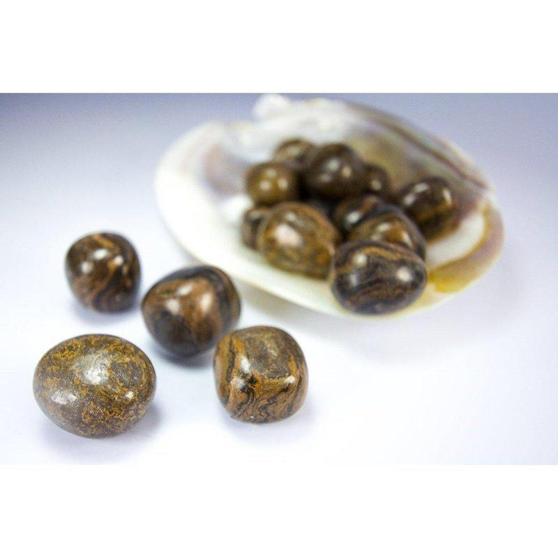 Stromatolite Tumbled Stone-Nature's Treasures