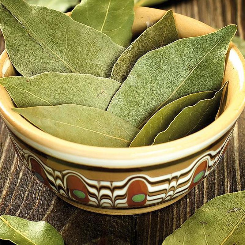 Sun's Eye "Bay" Oil-Nature's Treasures