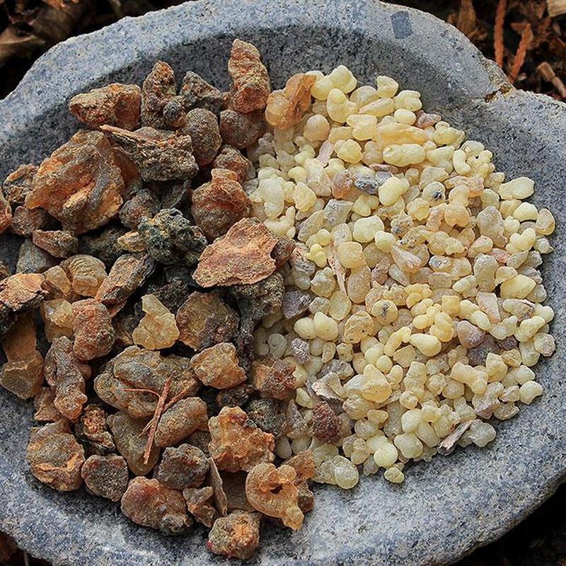 Sun's Eye "Frank and Myrrh" Oil-Nature's Treasures