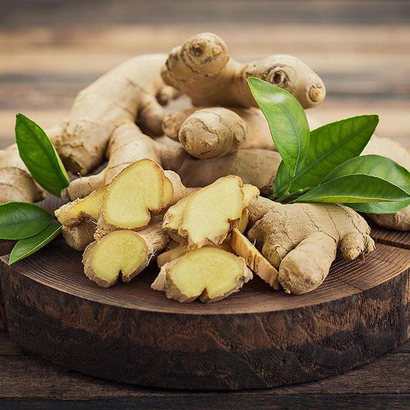 Sun's Eye "Ginger" Oil-Nature's Treasures