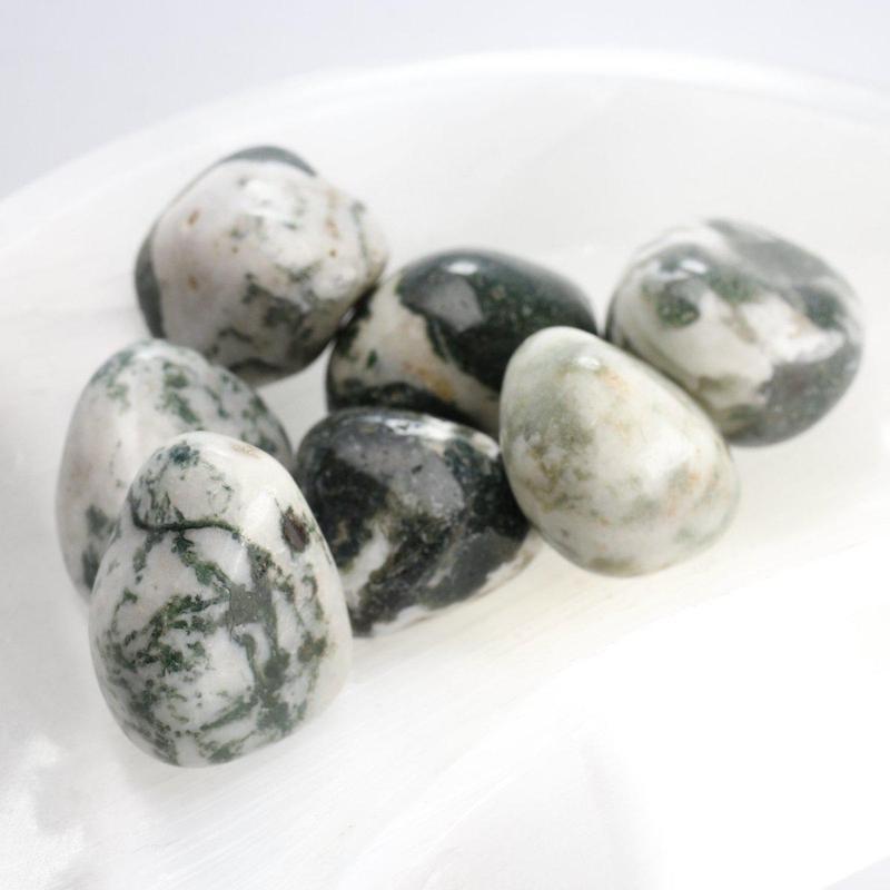 Tree Agate Tumble-Nature's Treasures